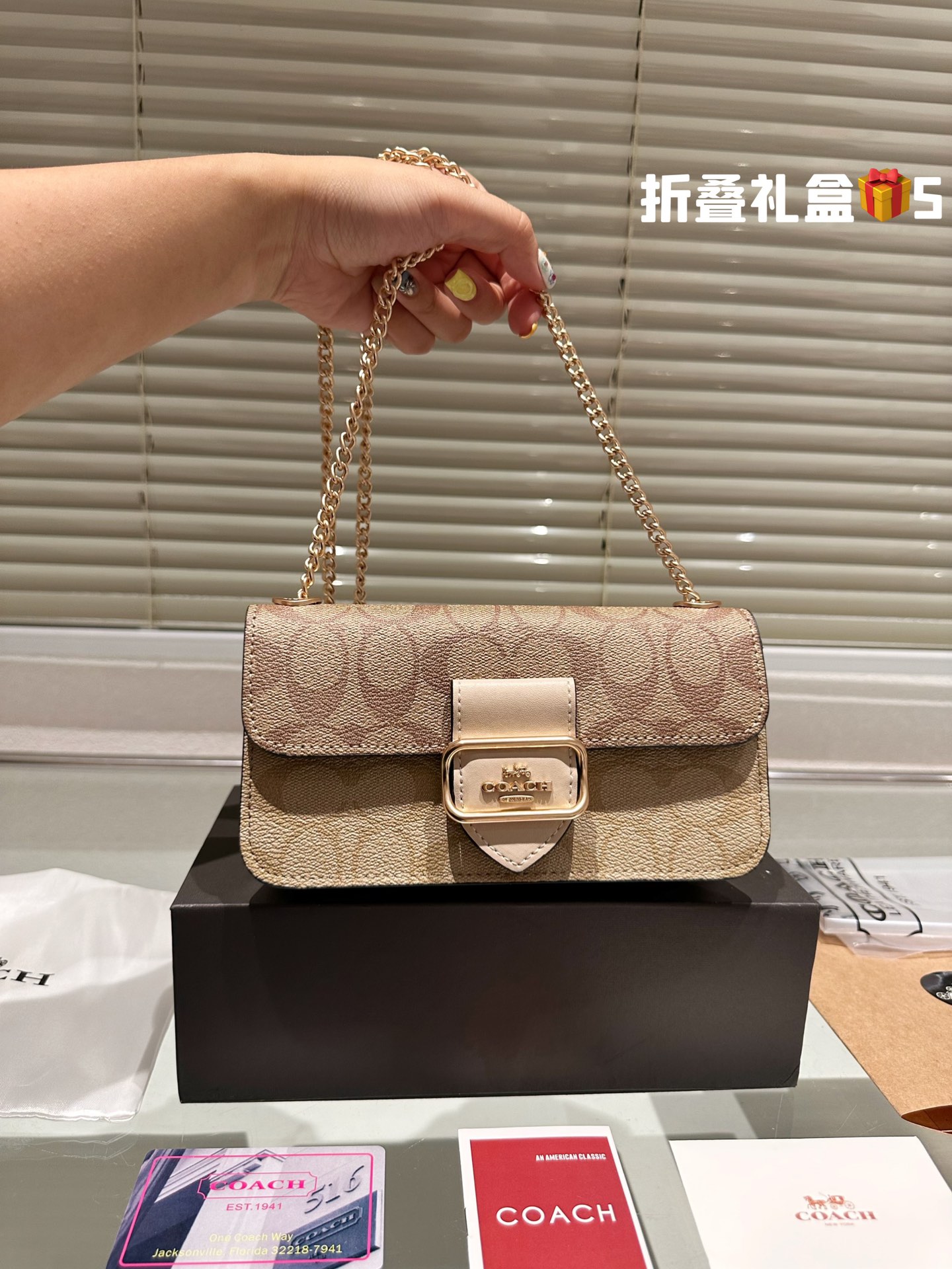 COACH MORGAN Chain Bag 008 LLS561 20cm