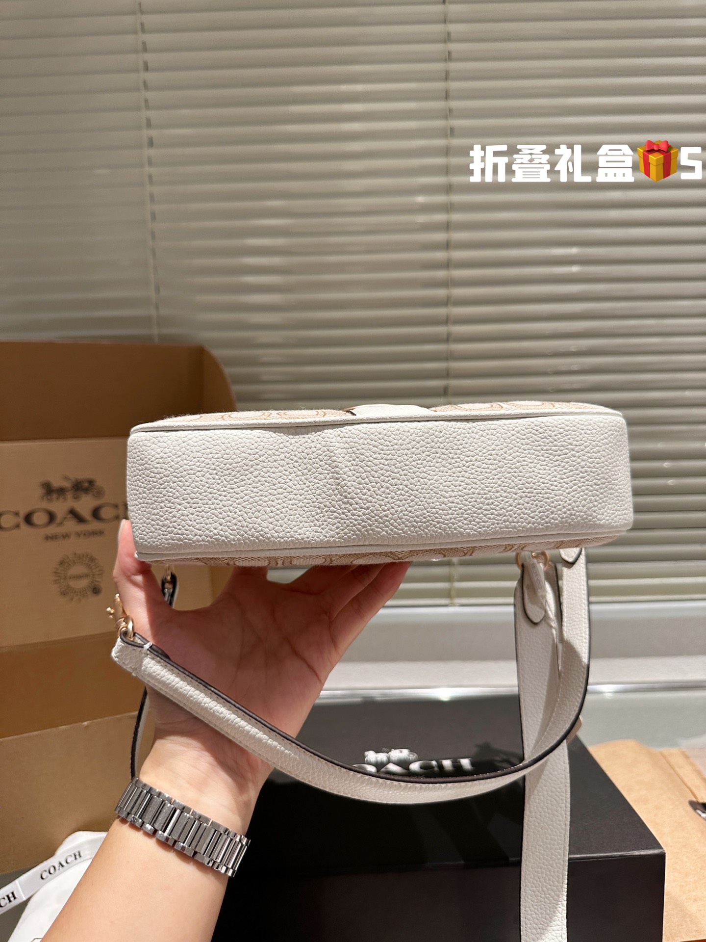 COACH LONNIEBAGUETTE Bag 029 LLS561 25cm