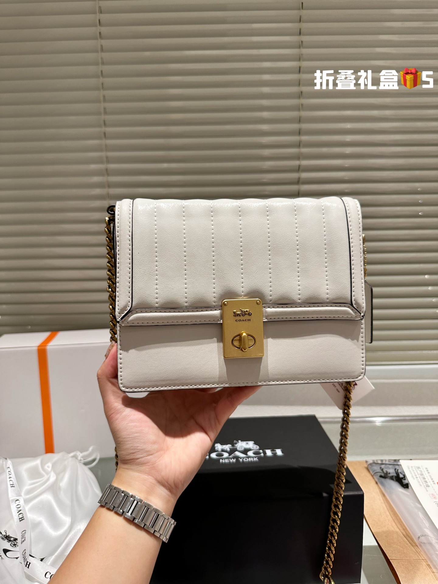 COACH HUTTON Chain Bag 003 LLS091 21cm