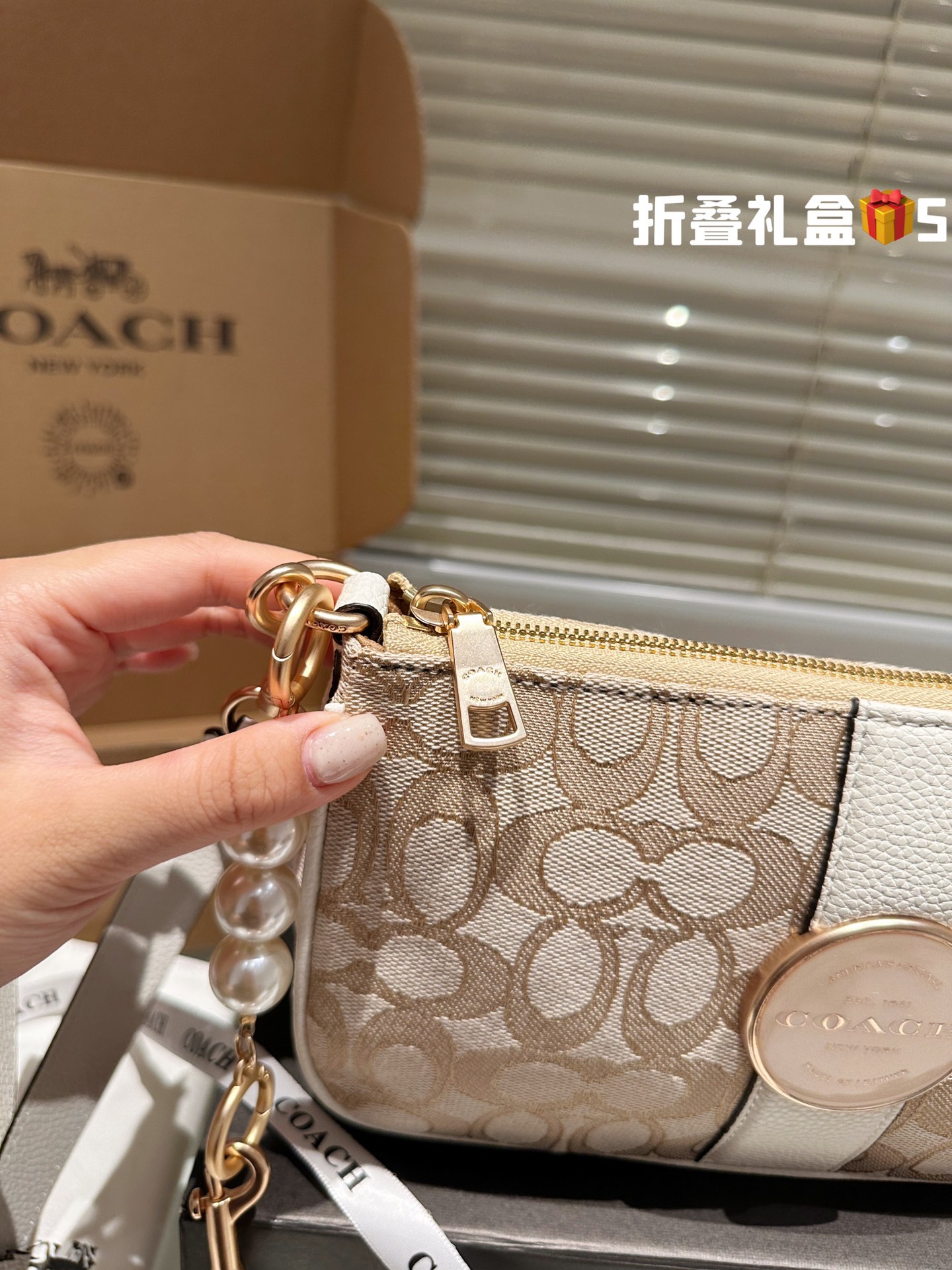 COACH LONNIEBAGUETTE Bag 029 LLS561 25cm