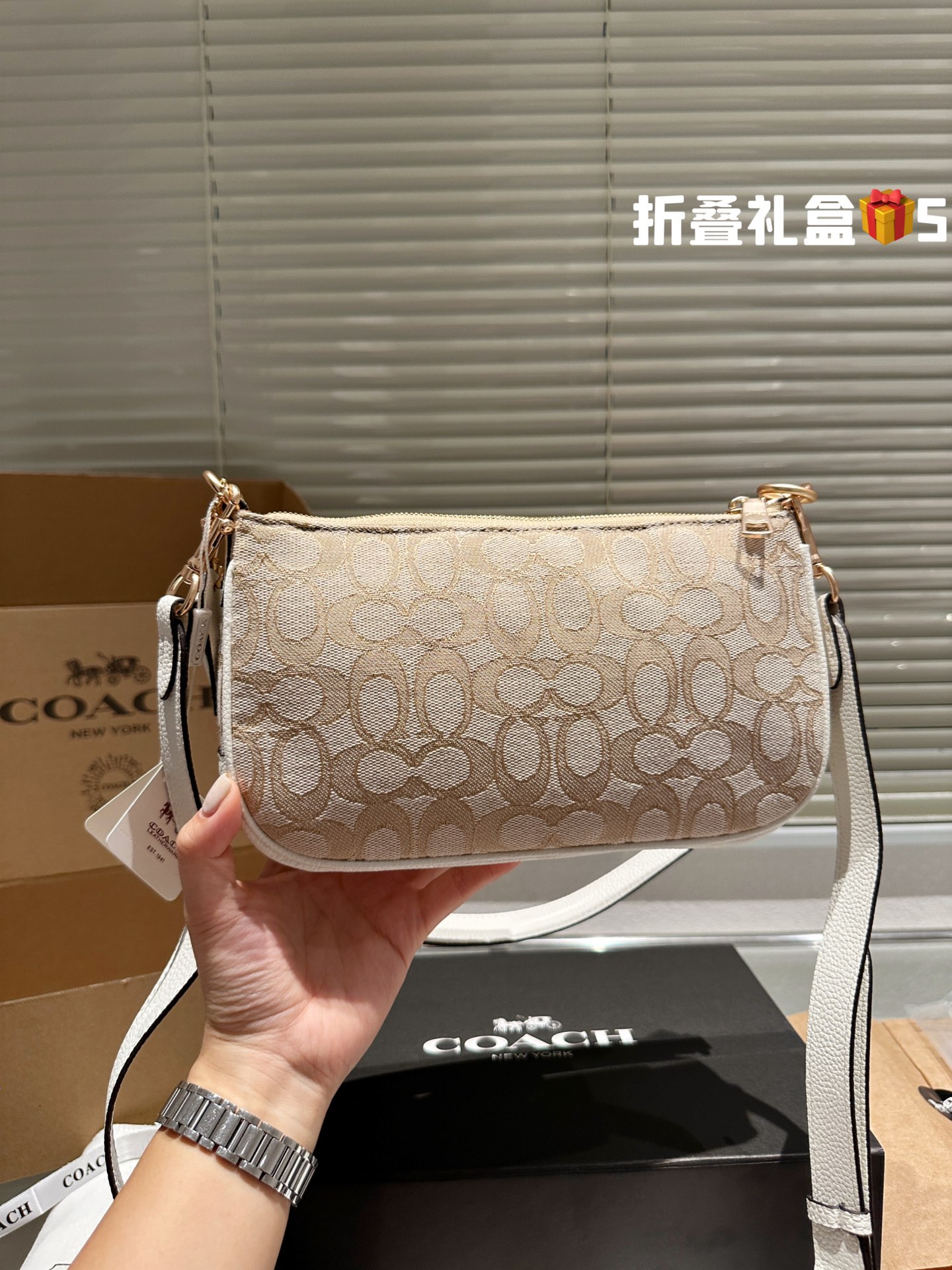 COACH LONNIEBAGUETTE Bag 029 LLS561 25cm