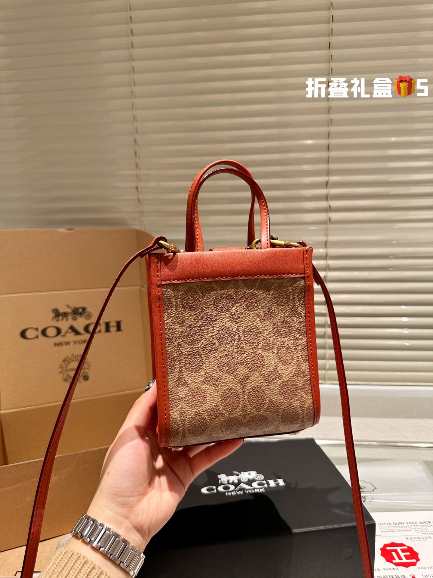 COACH CASHIN Tote 028 LLS051 14.5cm