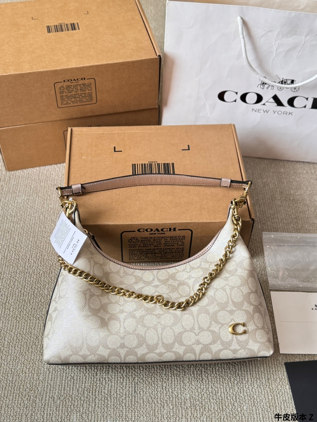 Coach Juliet hobo Bag 001 DB571 28cm