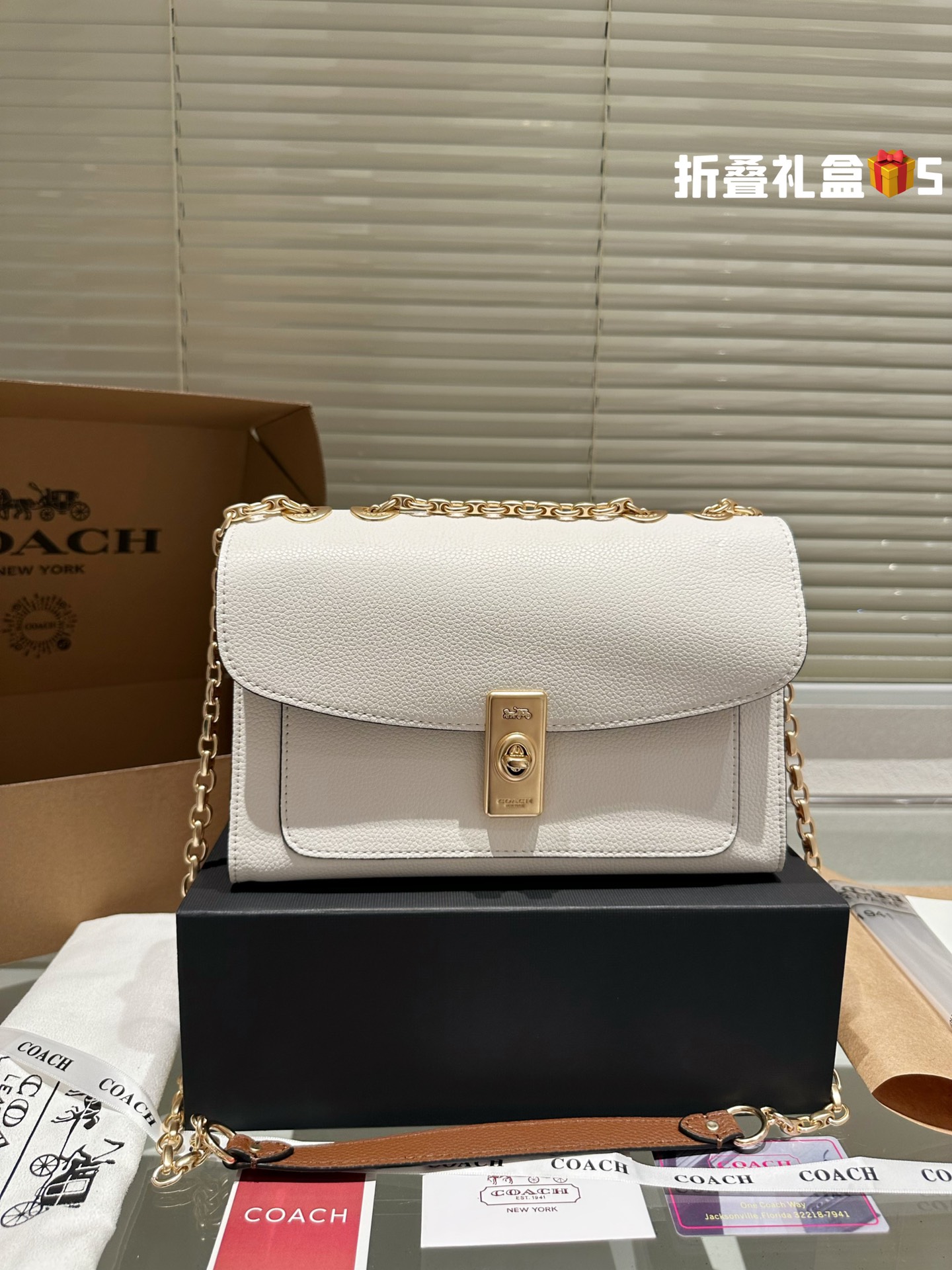 COACH LANE Bag 030 LLS591 26cm
