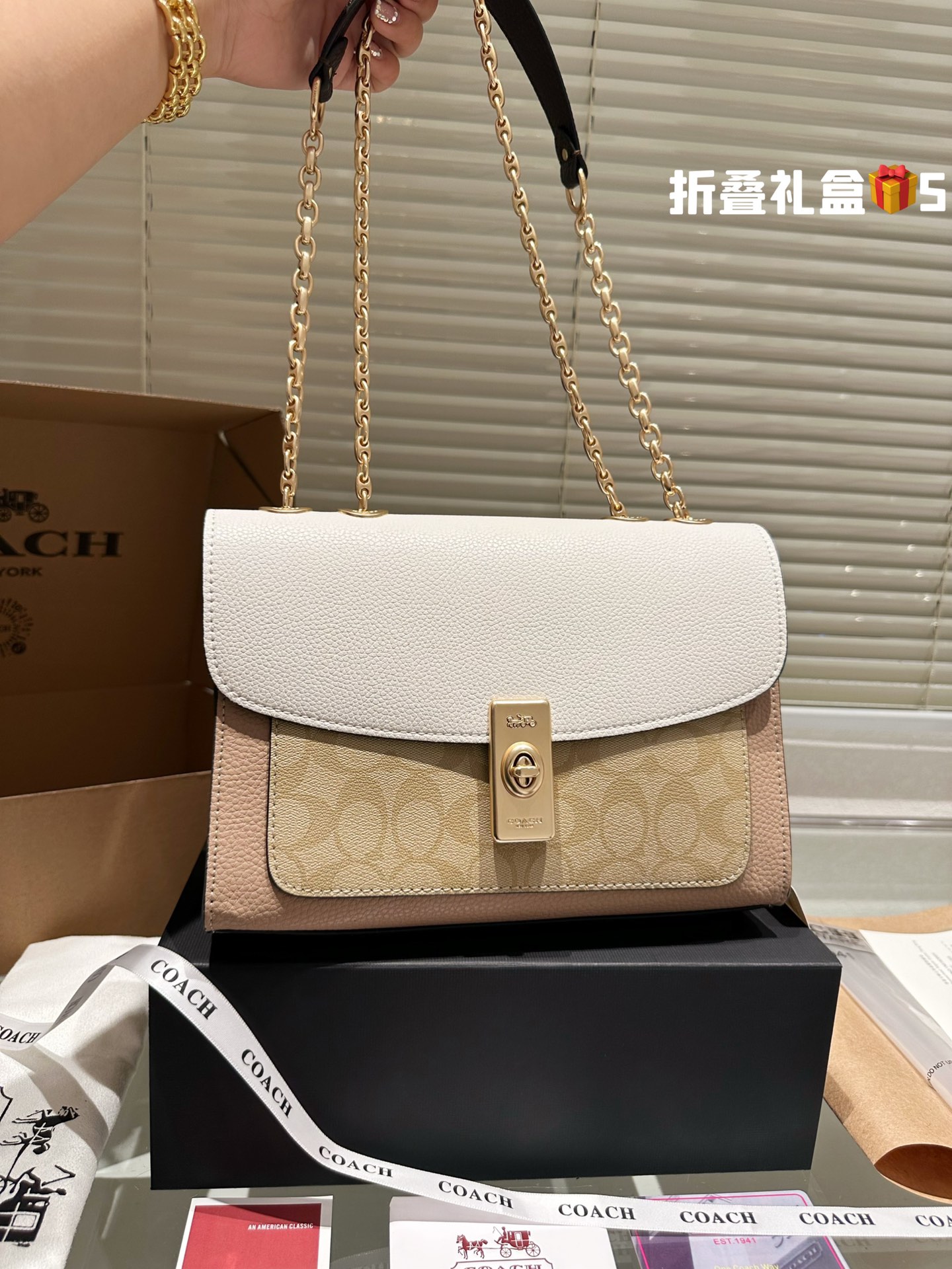 COACH LANE Bag 030 LLS591 26cm