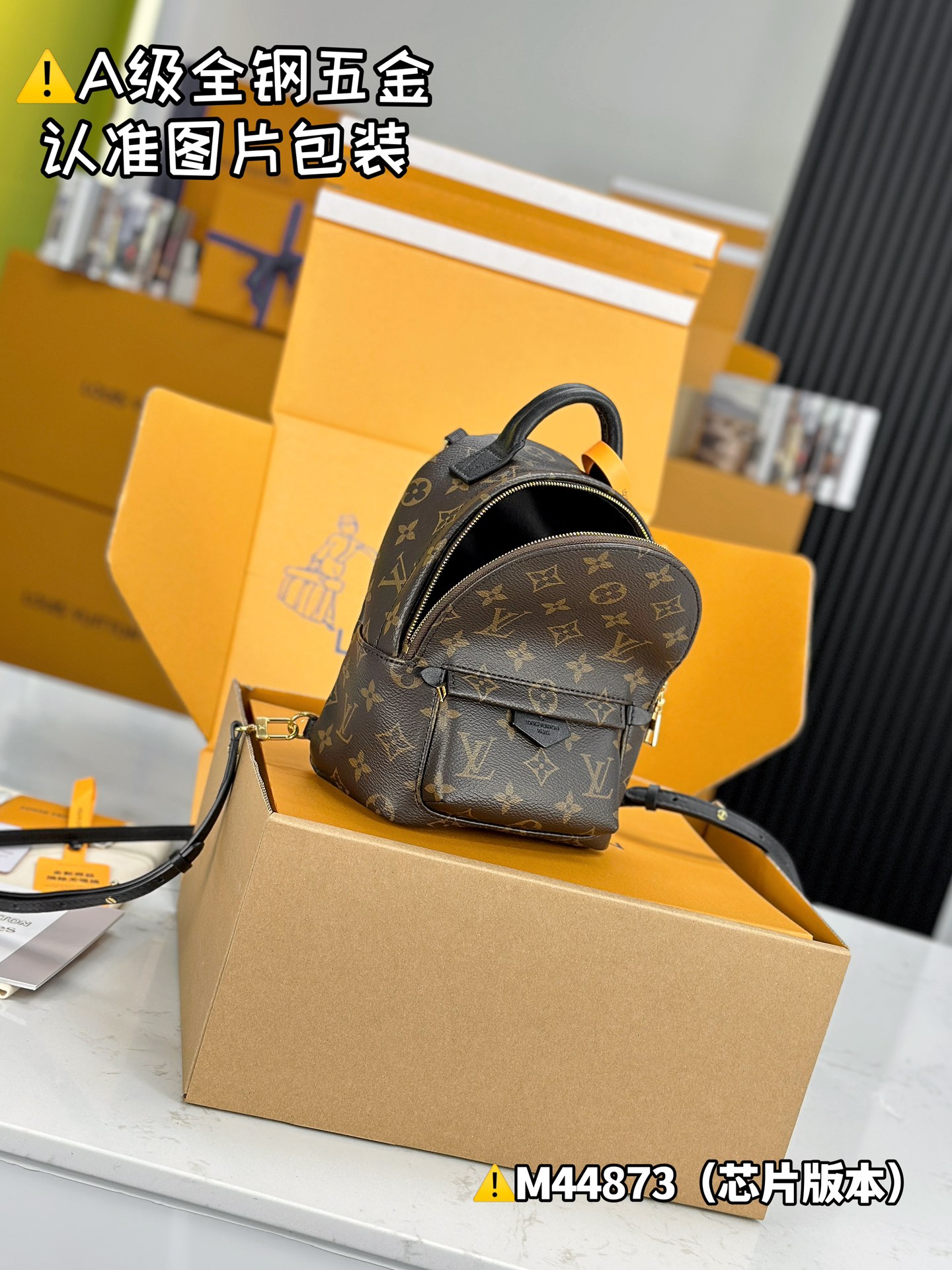 Louis Vuitton Bags PALM SPRINGS M44873（12AReplica）