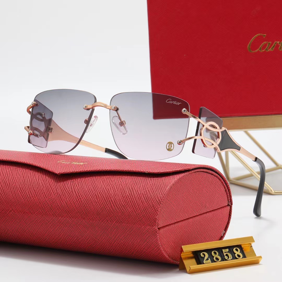 Cartier Sunglasses