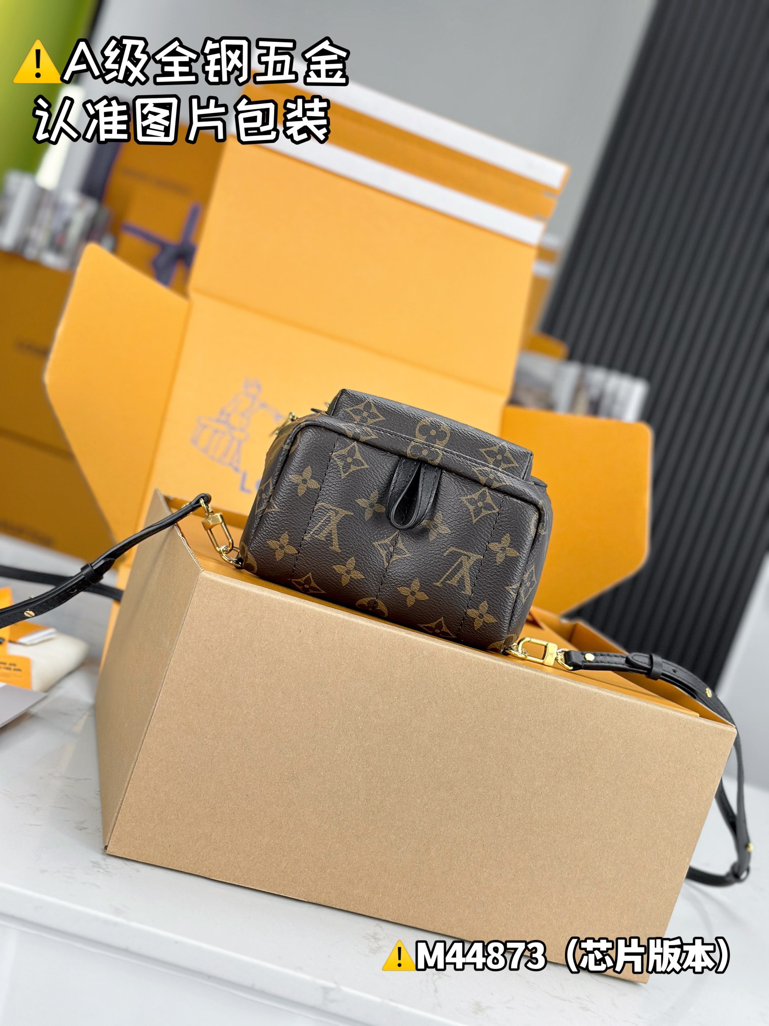 Louis Vuitton Bags PALM SPRINGS M44873（12AReplica）