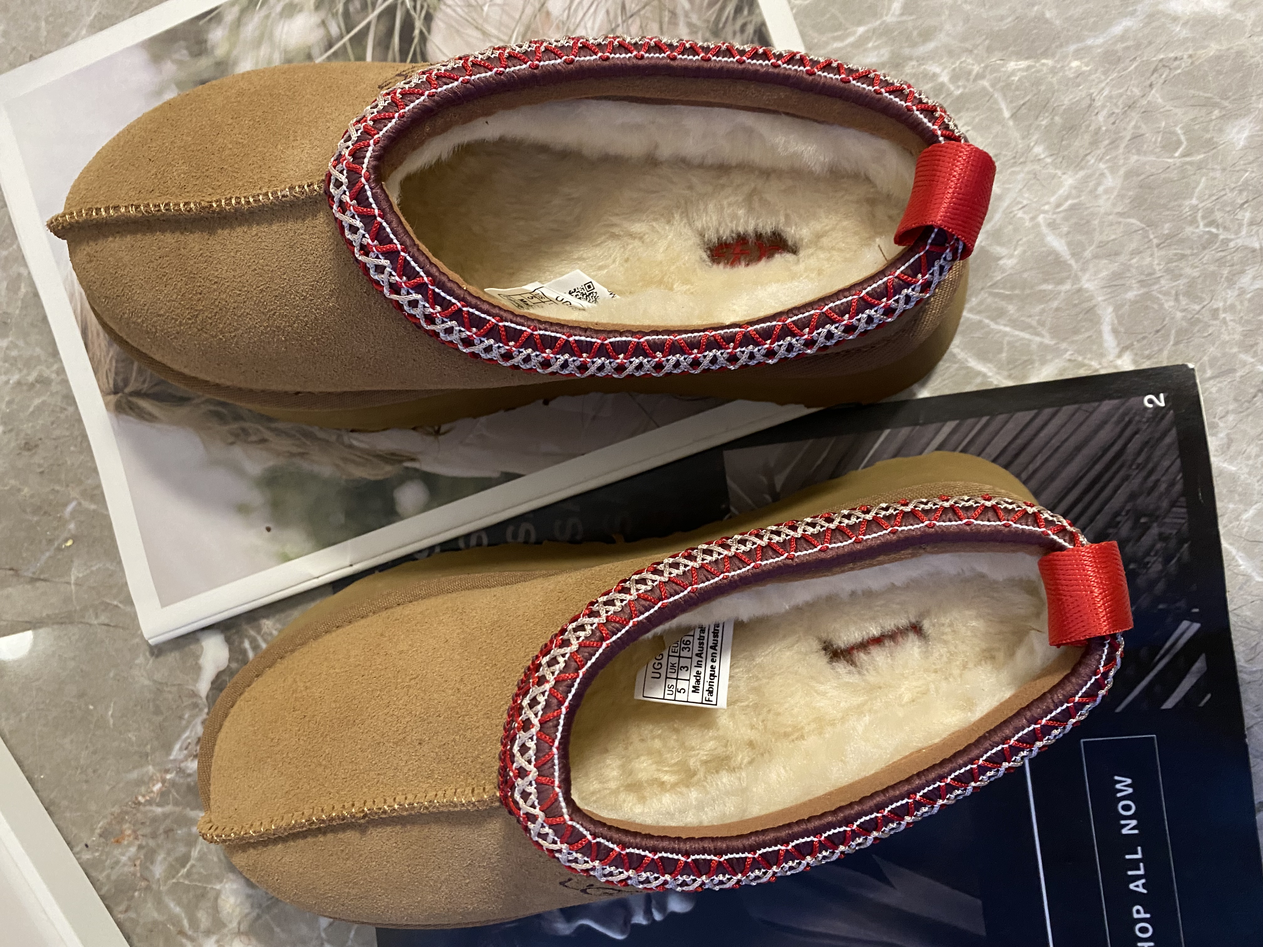 UGG Women's Tazzlita Tazz(Replica)