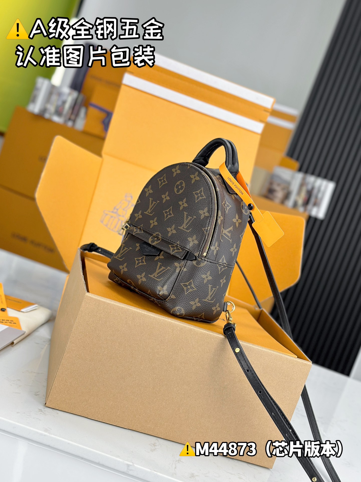 Louis Vuitton Bags PALM SPRINGS M44873（12AReplica）