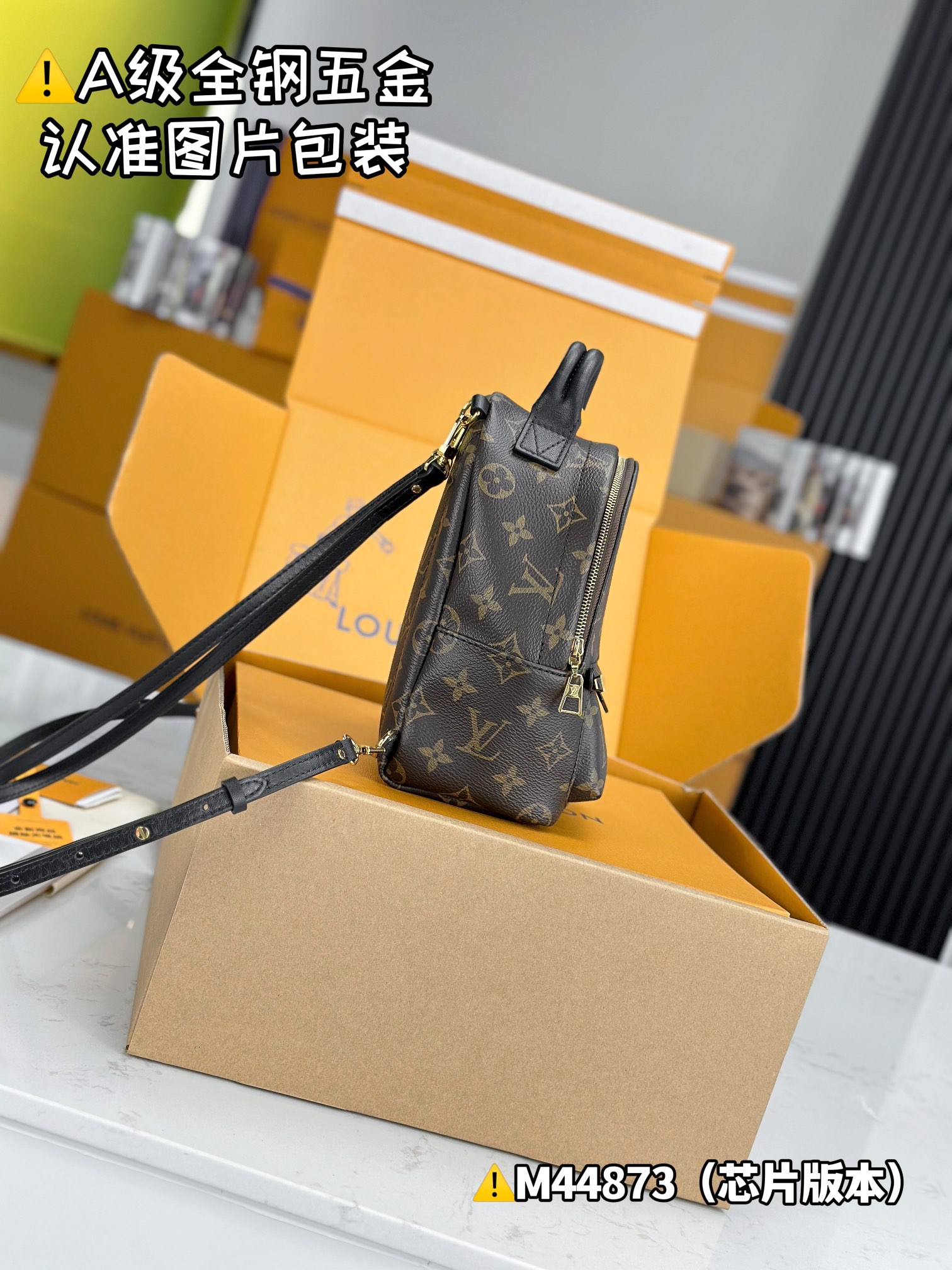 Louis Vuitton Bags PALM SPRINGS M44873（12AReplica）