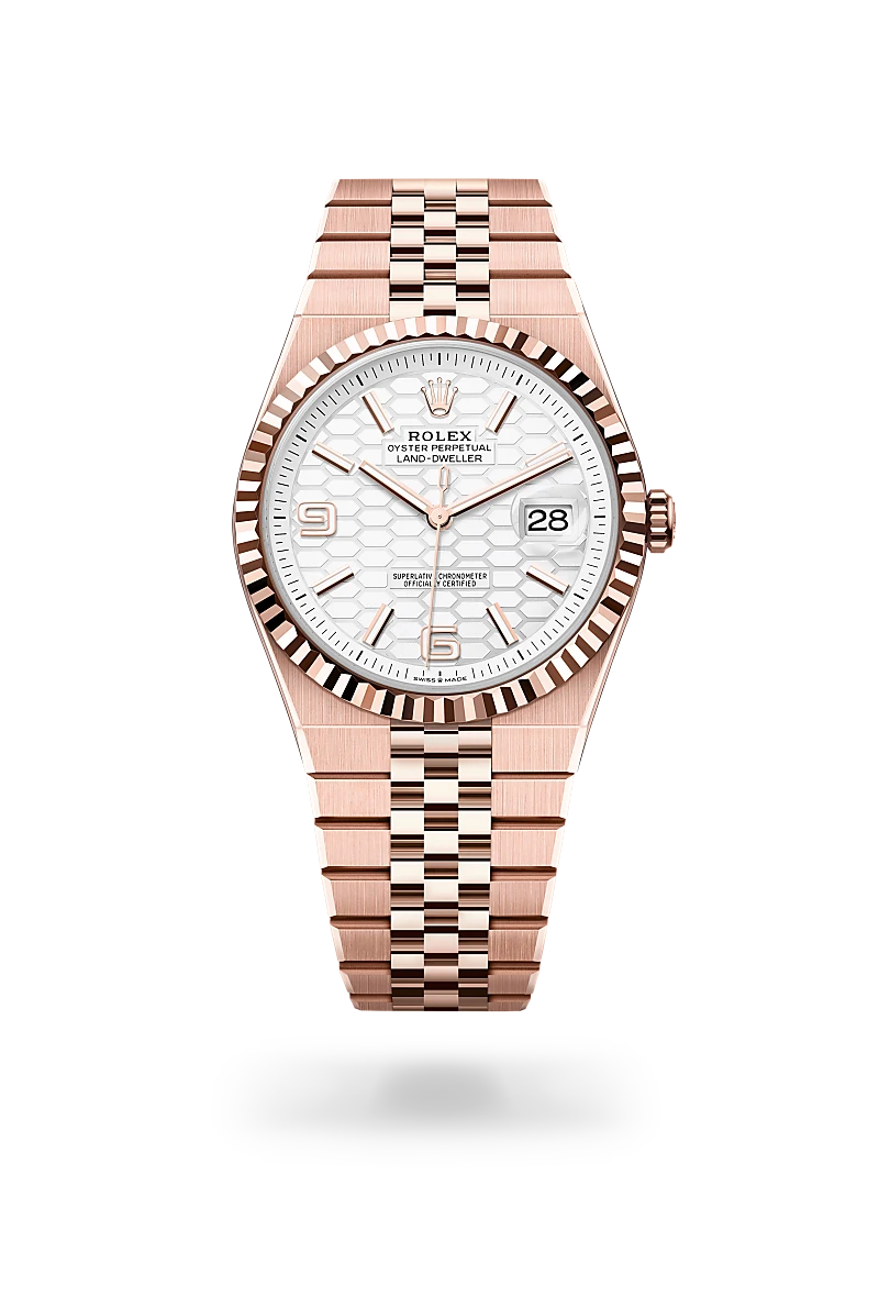 2025 Land-Dweller 40 Rolex Oyster, 40 mm, Everose gold M127335-0001