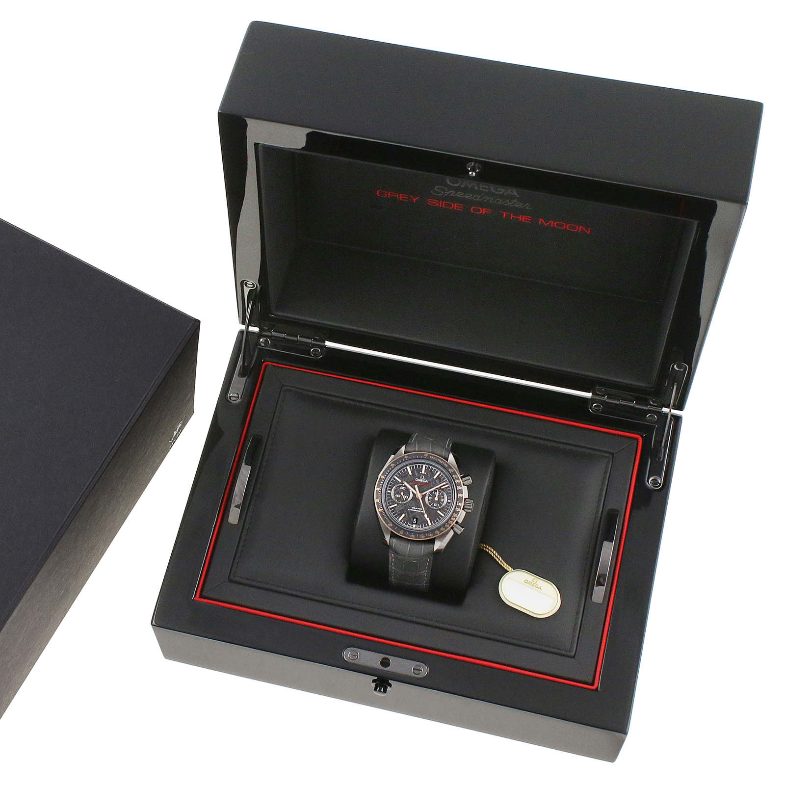 Omega Speedmaster 'Grey Side of the Moon Meteorite' Mens Watch-P17331294