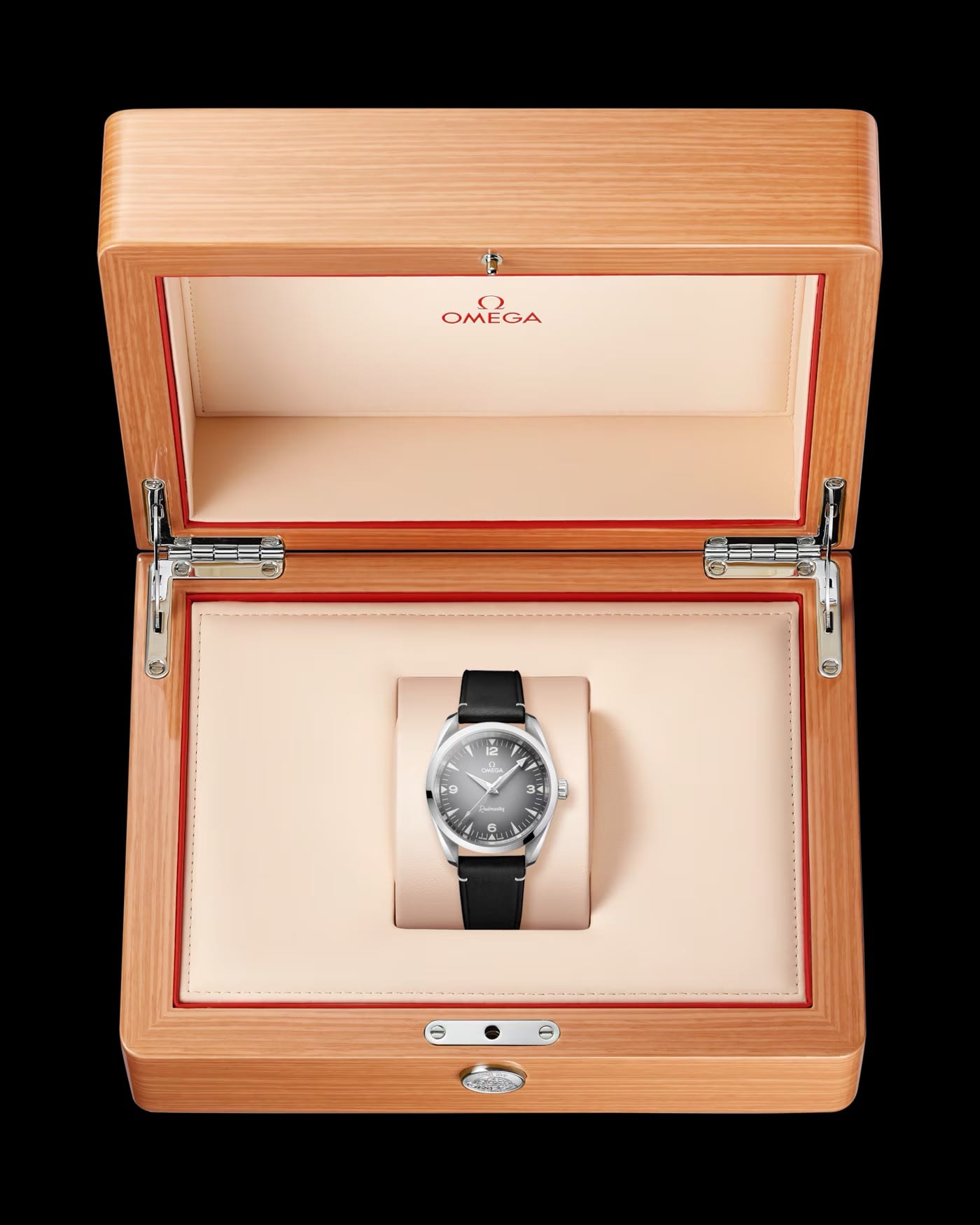 2025 Omega 235.12.38.20.06.001 Railmaster on Leather Strap