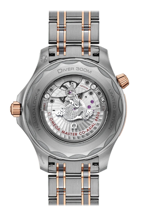 Omega Seamaster Diver 300 Co-Axial Mens Watch-P17331442