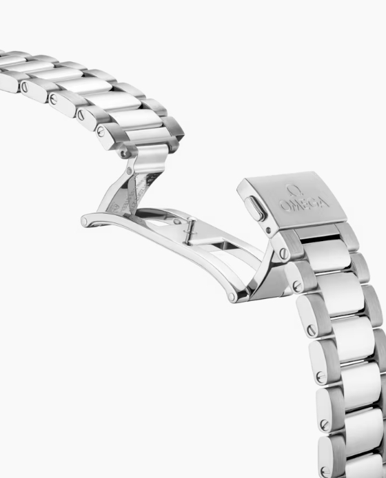 Omega Seamaster Aqua Terra Co-Axial Master Chronometer 41mm Ladies Watch-P17331398