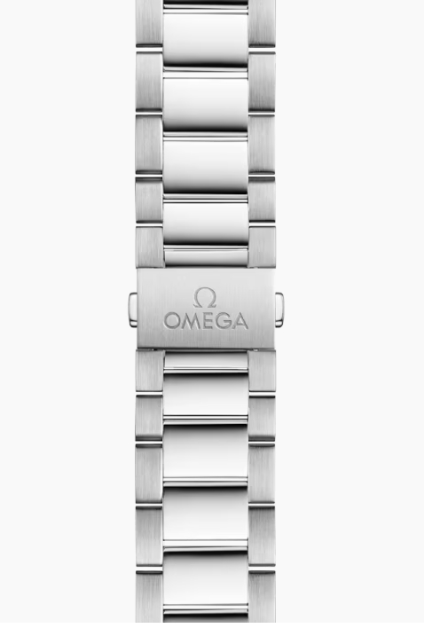 Omega Seamaster Aqua Terra Co-Axial Master Chronometer 41mm Ladies Watch-P17331398