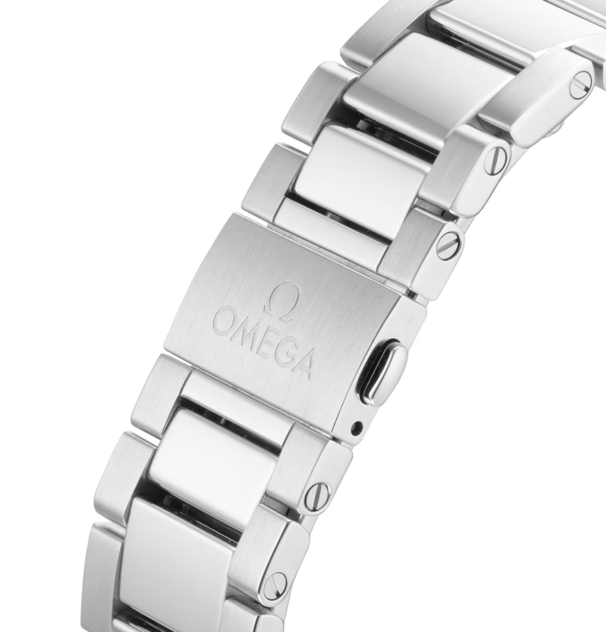 Omega Seamaster Aqua Terra 41mm Mens Watch-P17331830