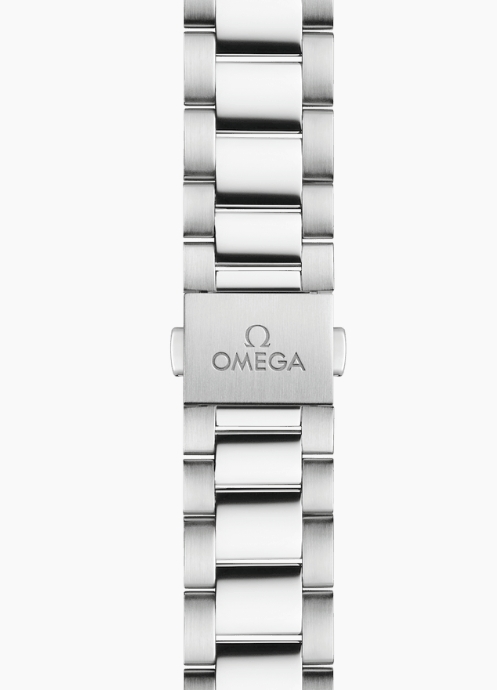 Omega Seamaster Aqua Terra Co-Axial Master Chronometer 34mm Ladies Watch-P17331479