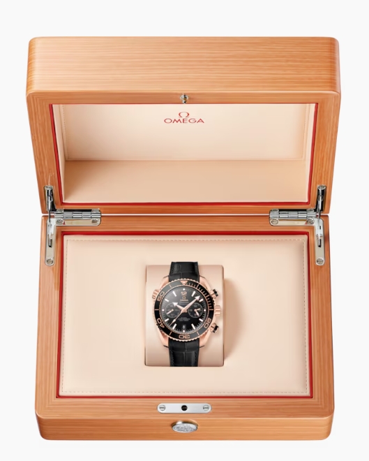 Omega Seamaster Planet Ocean 600M Co?Axial Master Chronometer Chronograph 45.5mm-P17332028