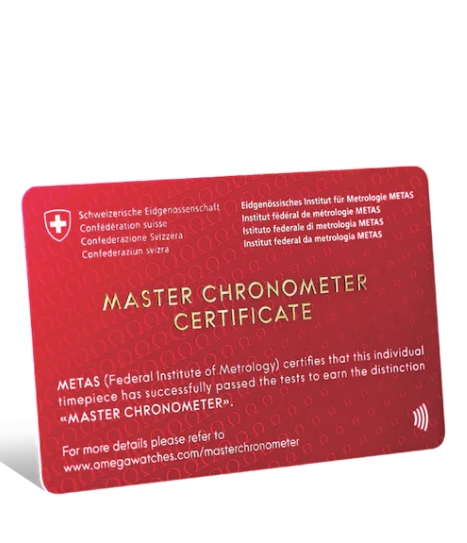 Omega Seamaster Diver 300 Co-Axial Mens Watch-P17331442