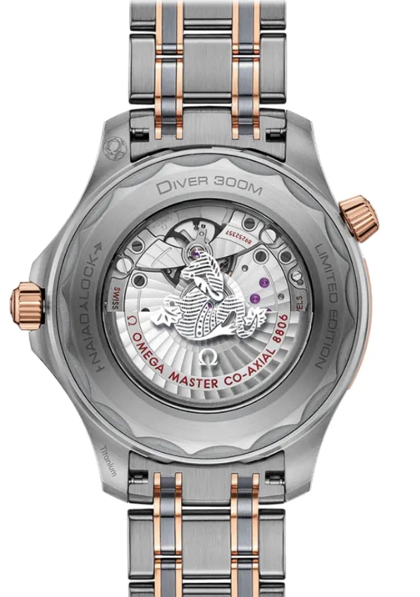 Omega Seamaster Diver 300 Co-Axial Mens Watch-P17331442