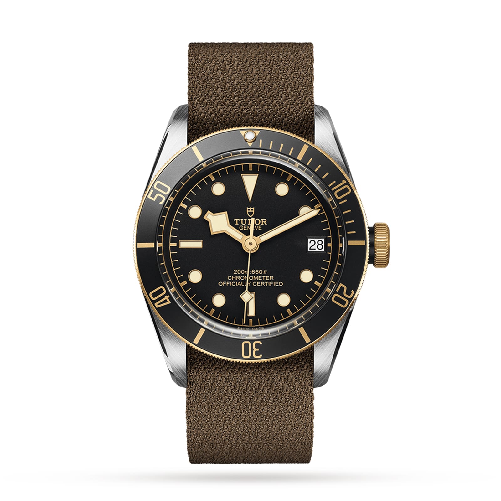 TUDOR Black Bay S&G