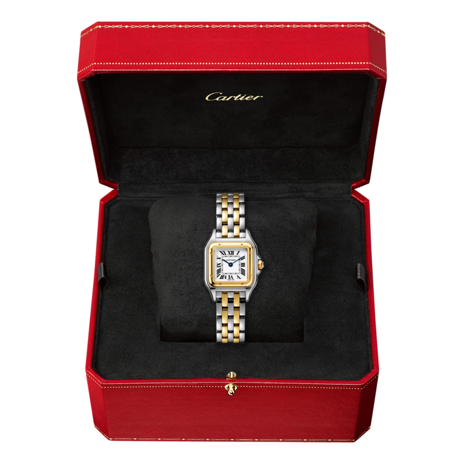 Cartier Panthère De Cartier Watch Small Model, Quartz Movement, Yellow Gold, Steel-P17310917