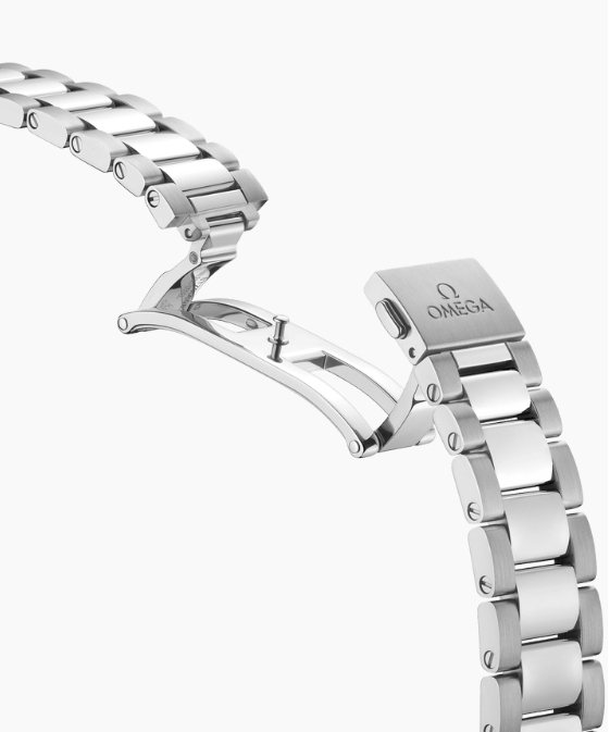 Omega Seamaster Aqua Terra Co-Axial Master Chronometer 34mm Ladies Watch-P17331479