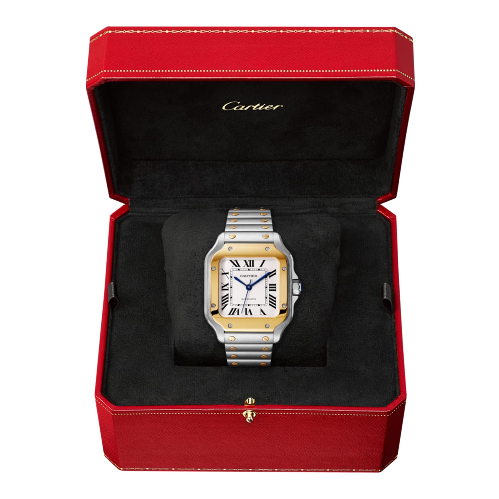 Cartier Santos De Cartier Watch Medium Model, Automatic Movement, Yellow Gold, Steel, Interchangeable Metal And Leather Bracelets-P17310956