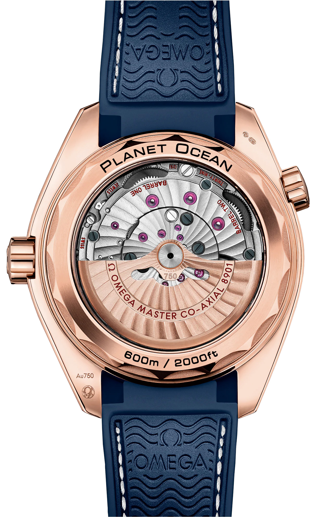 2025 Omega Seamaster Planet Ocean 600M Sedna Gold on Strap