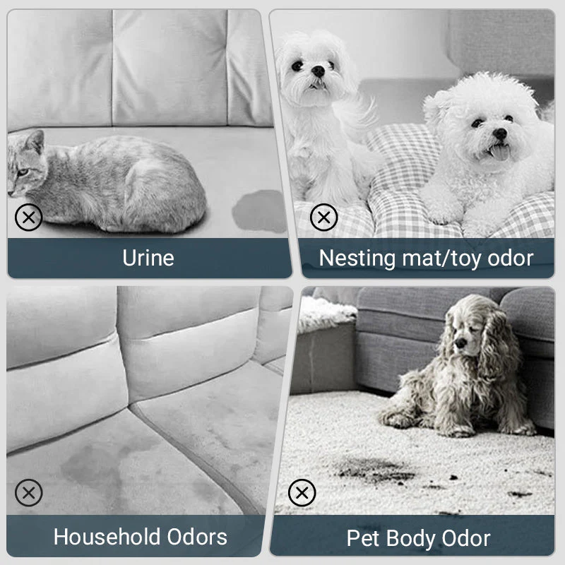 🐱🐶Pet Odor Eliminator Spray🍃