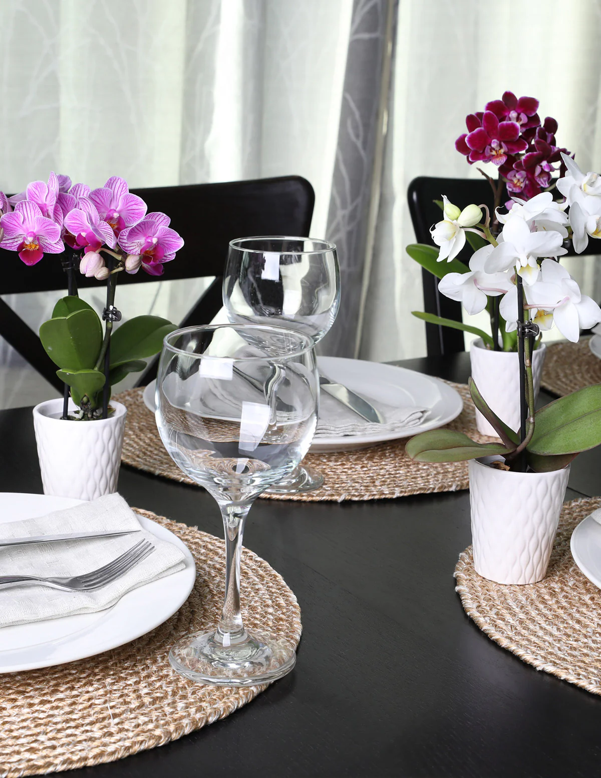 Orchid Party Pack, Set of 12