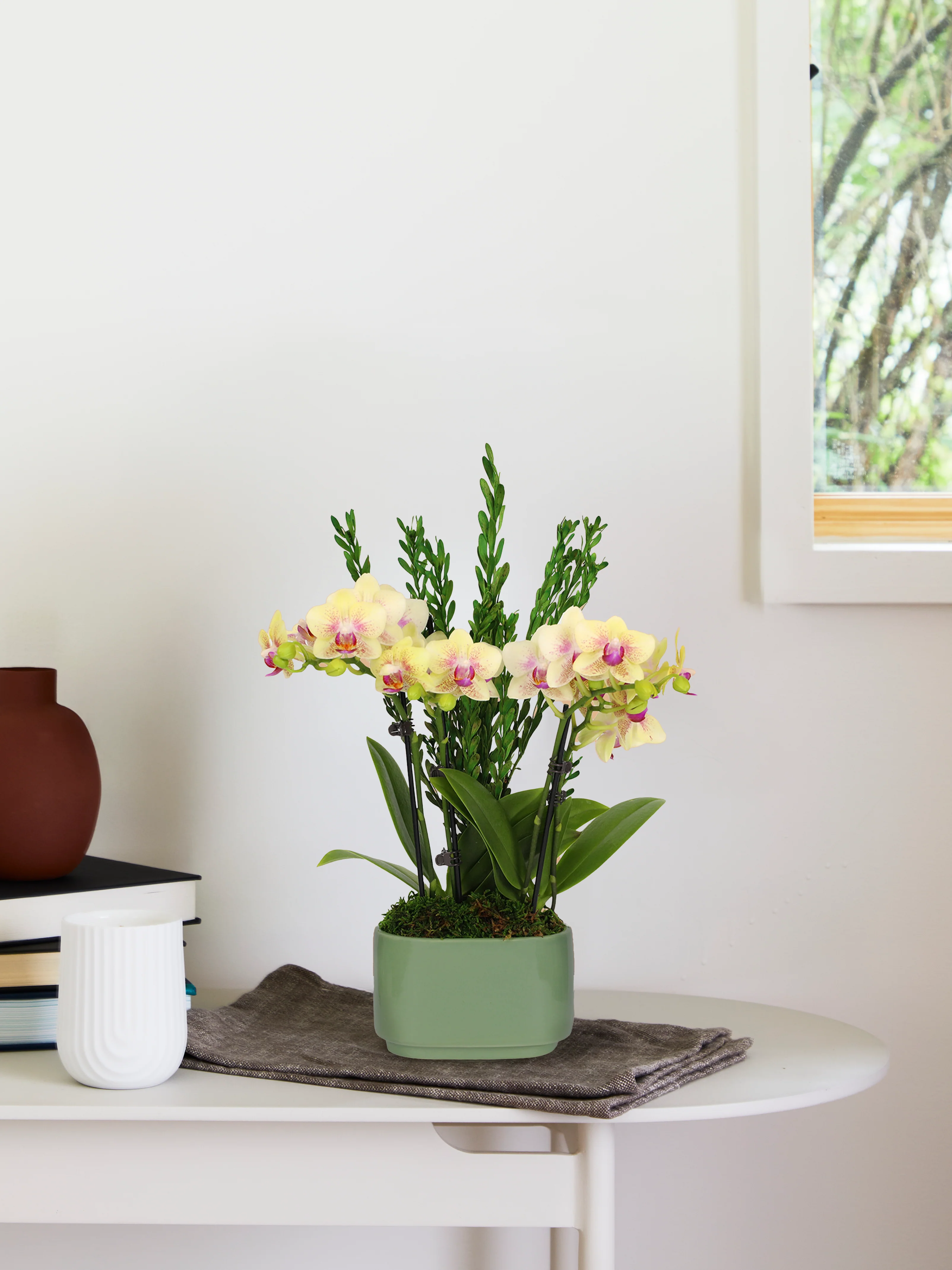 Small Double Orchid
