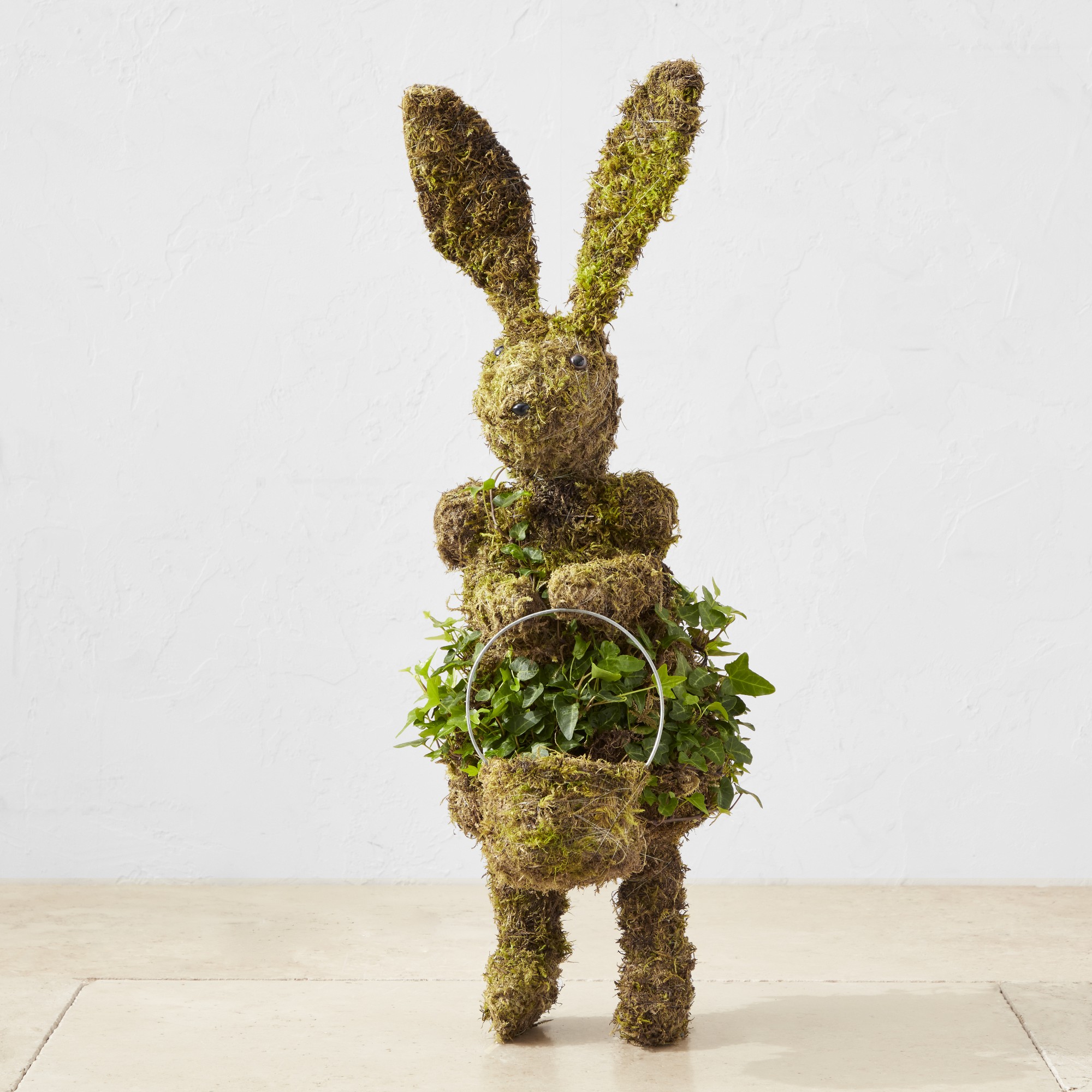 Easter Bunny with Basket Ivy & Moss Live Topiary, 24