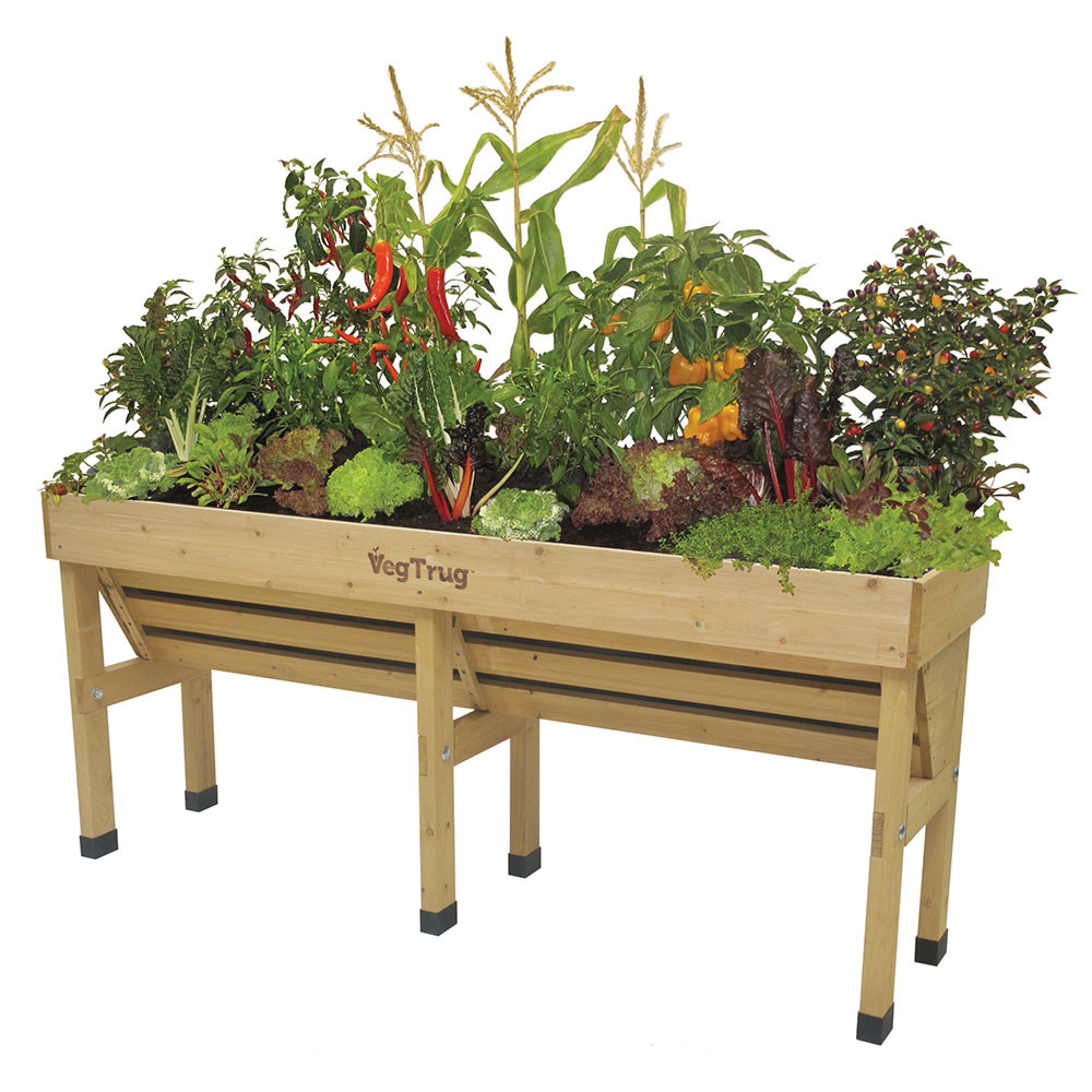 VegTrug™ Wallhugger, Medium
