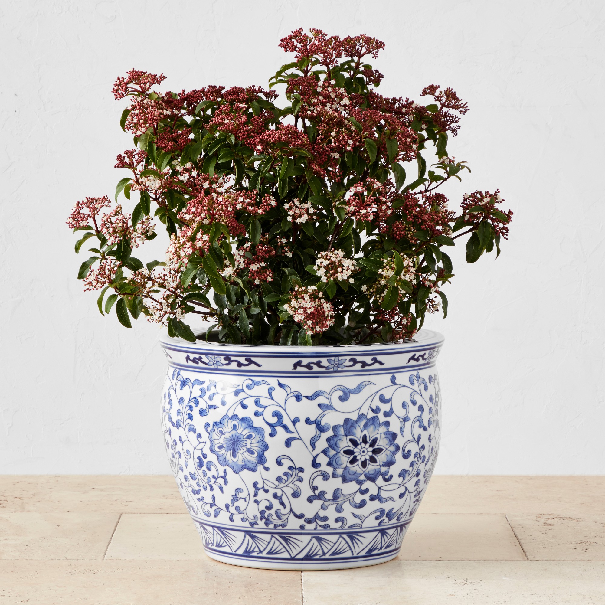 Blue & White Ceramic Planter, Extra Large