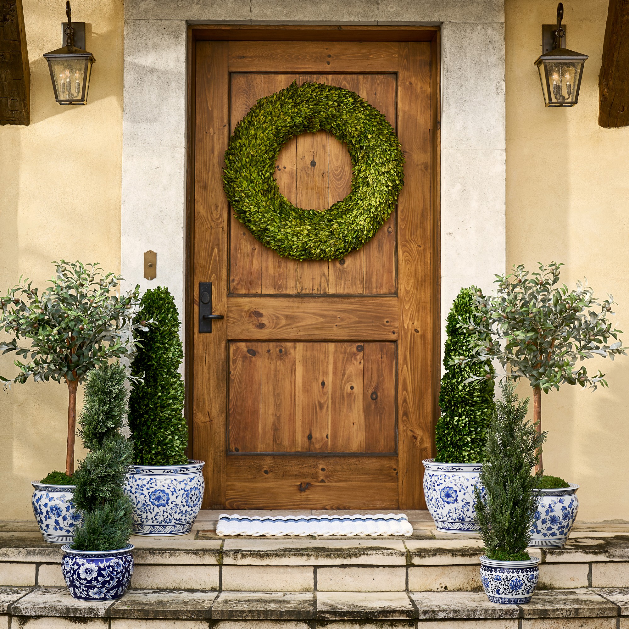 Boxwood Live Wreath, 20