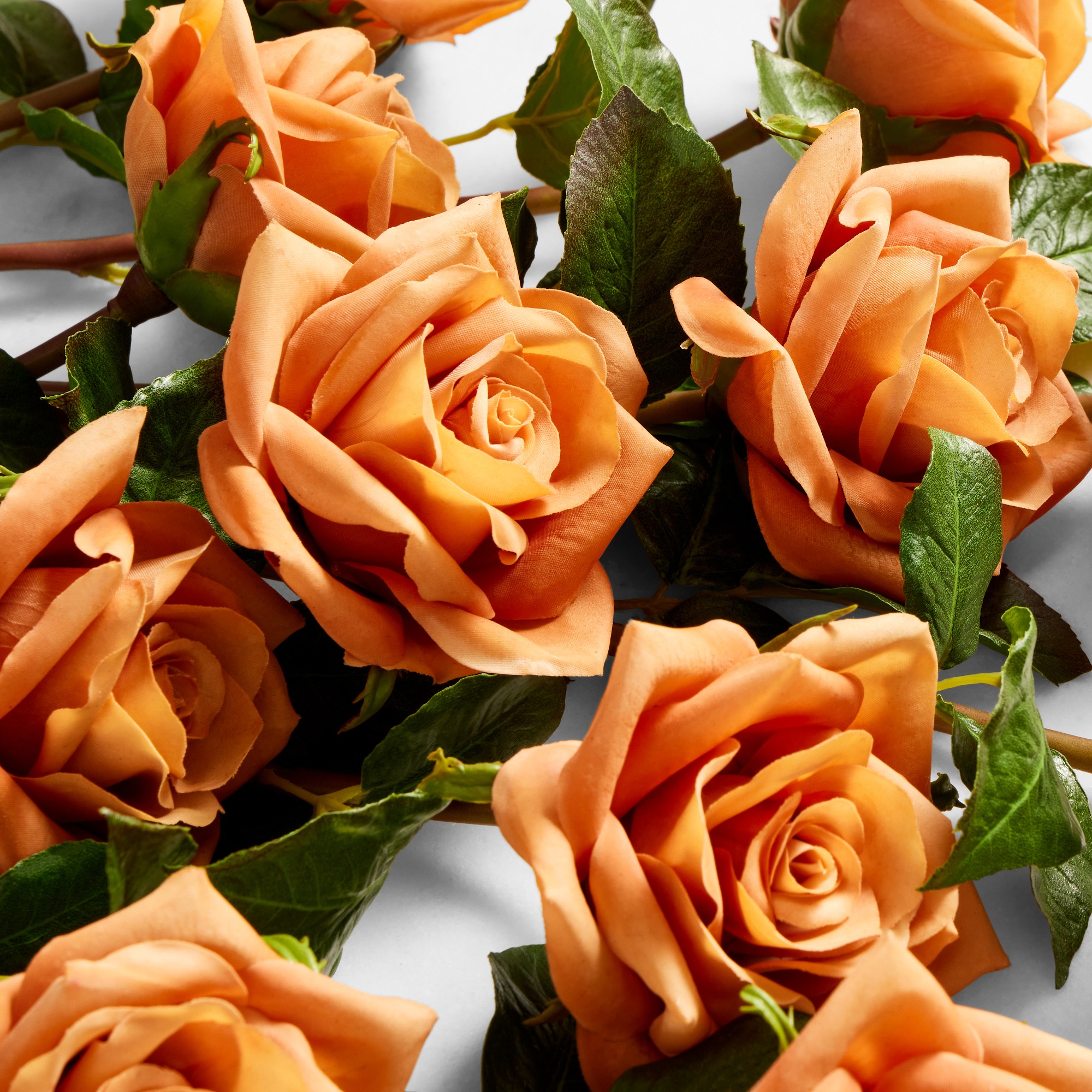Jeff Leatham x Williams Sonoma Real Touch Faux Toffee Rose Stems, Set of 12
