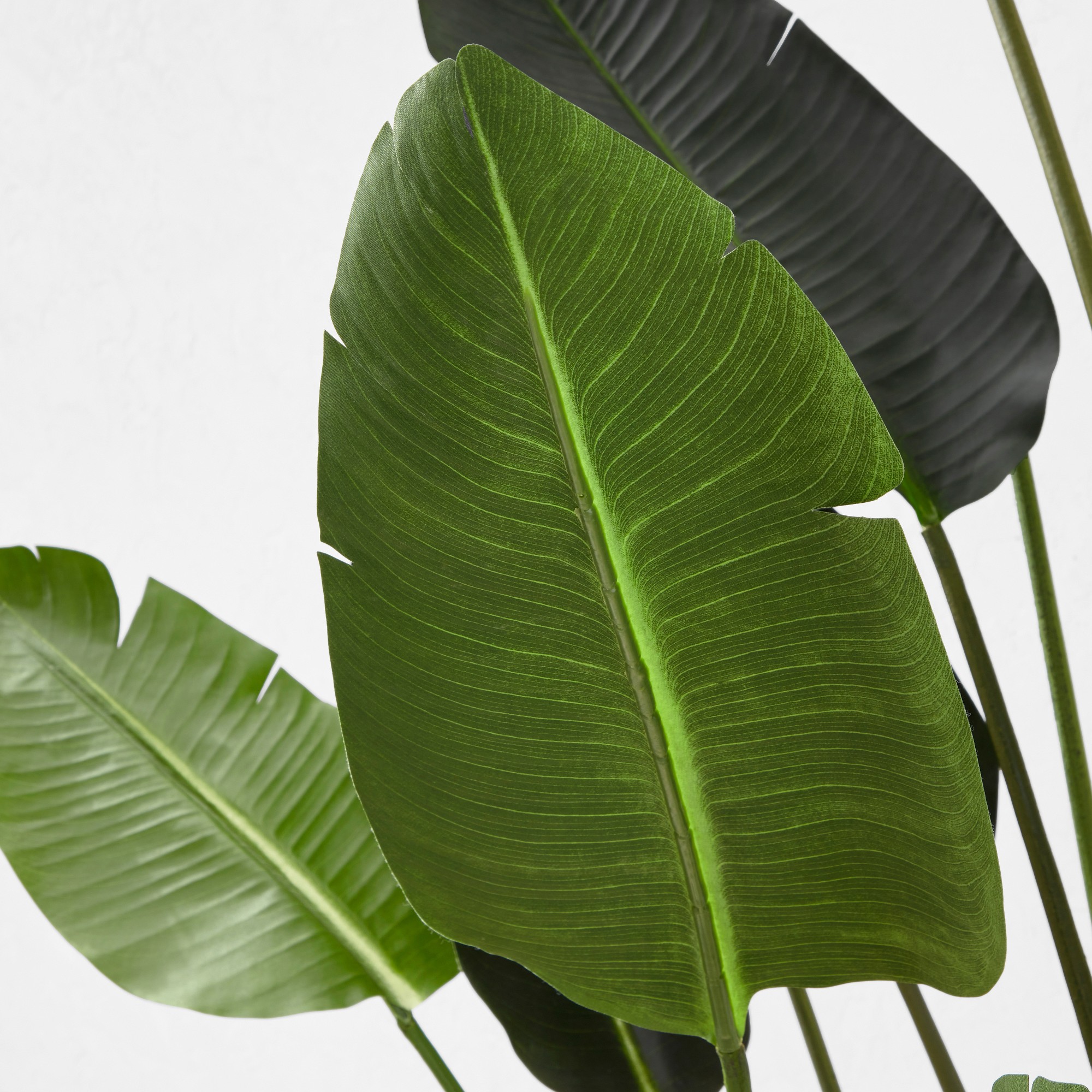 Faux Bird Of Paradise Plant in Plastic Pot, 18 Leaves, 93
