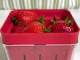 Chef'n Berry Basket