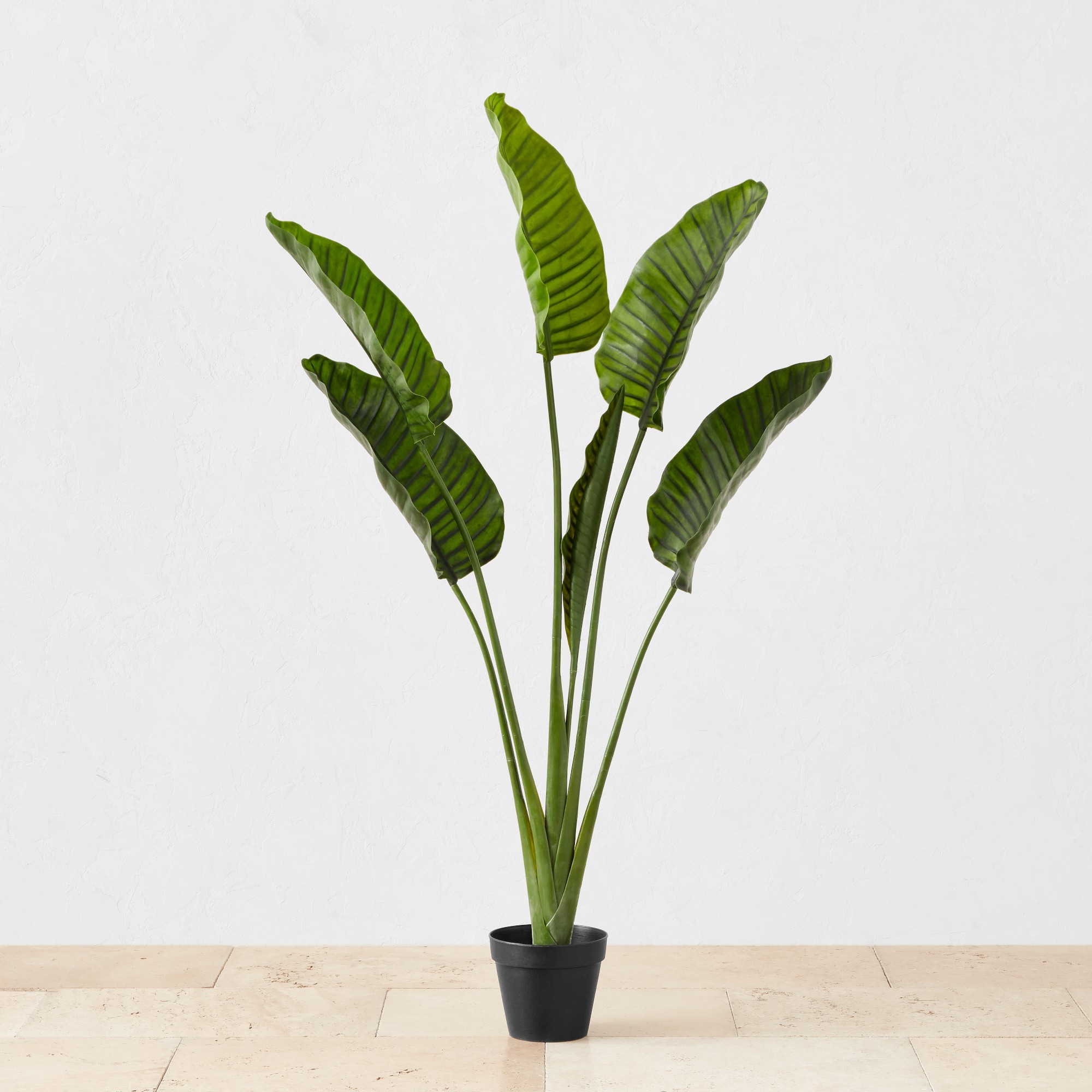 Faux Bird of Paradise Plant in Plastic Pot, 10 Leaves, 60
