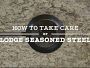Lodge Seasoned Carbon Steel Skillet