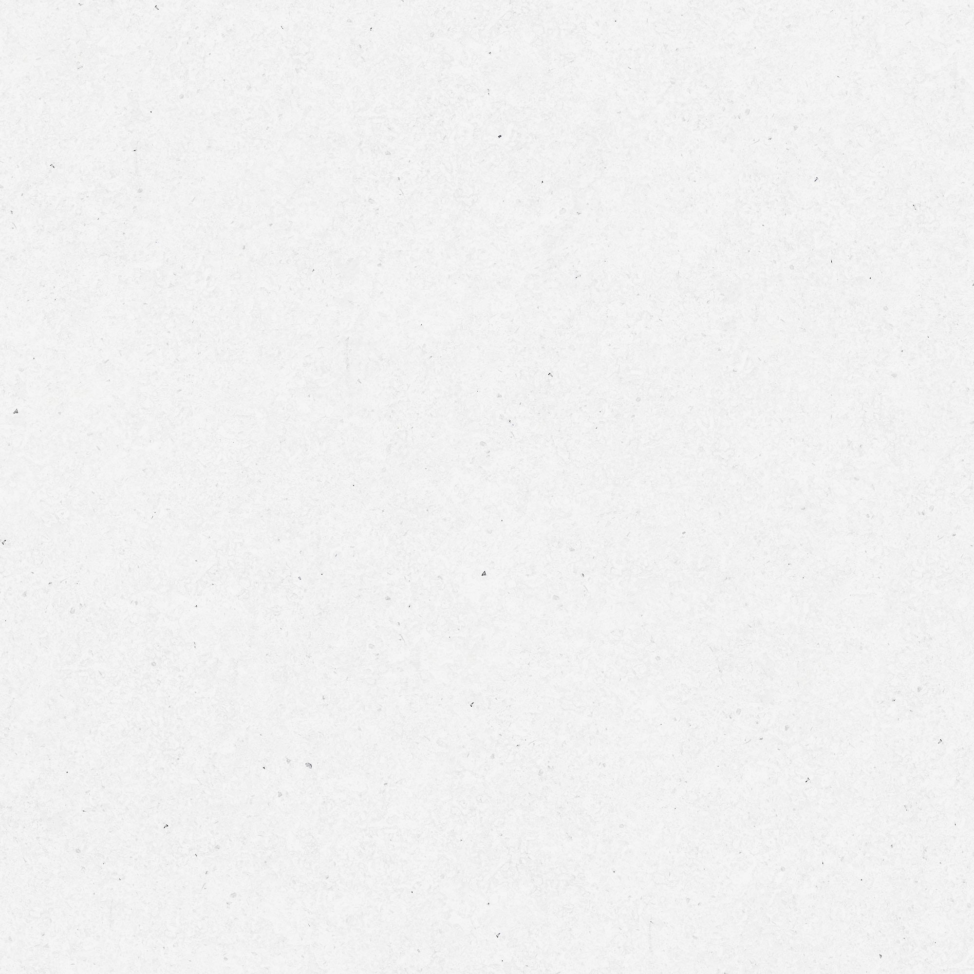 Light Concrete Swatch, White - Free Returns Within 30 Days