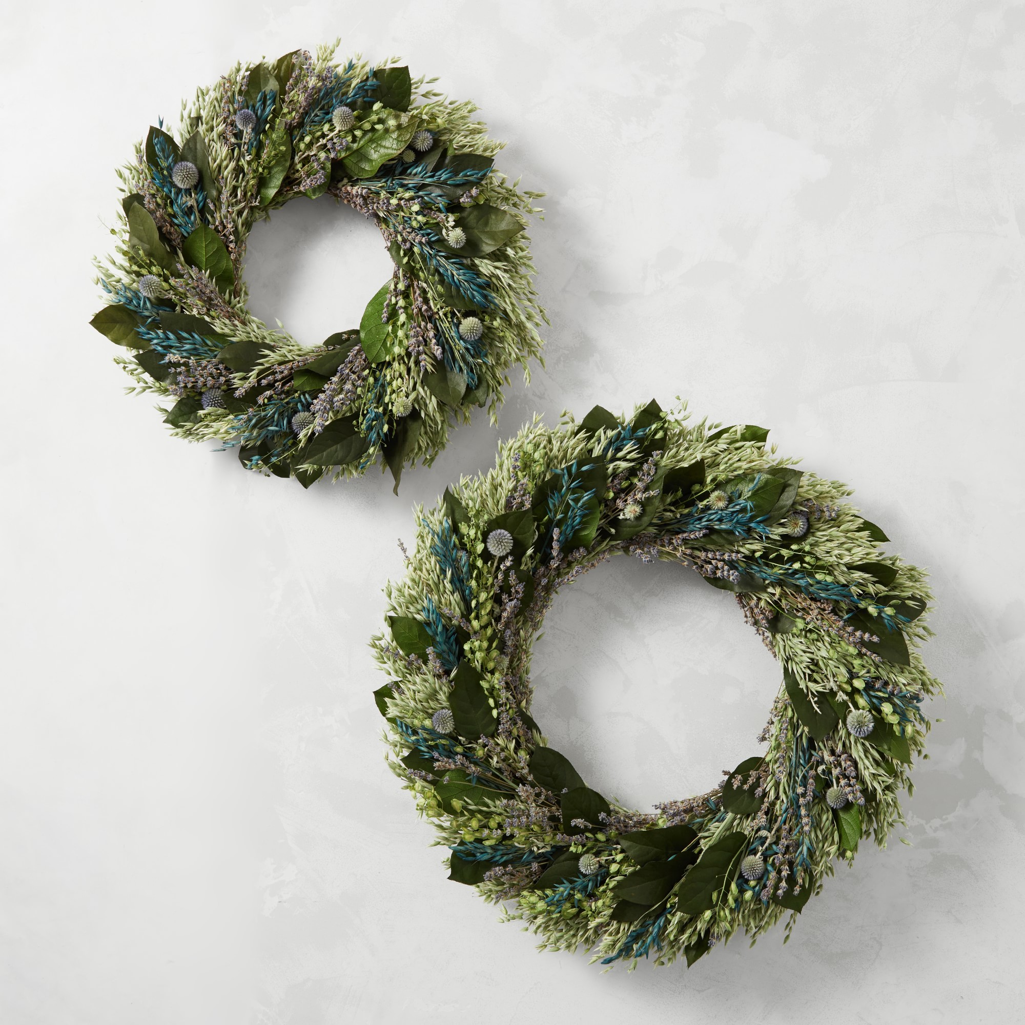 Visions of Blue Live Wreath