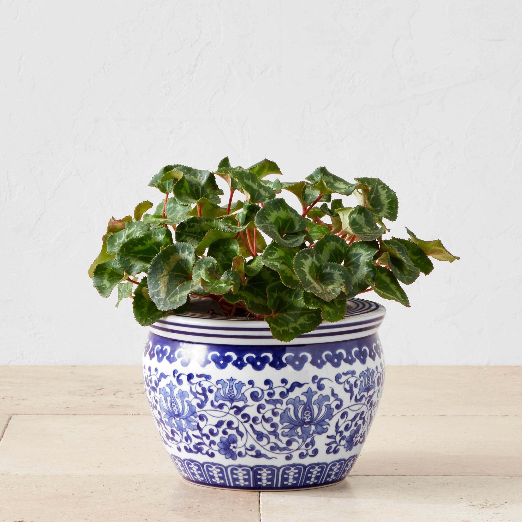 Blue & White Ceramic Planter, Small