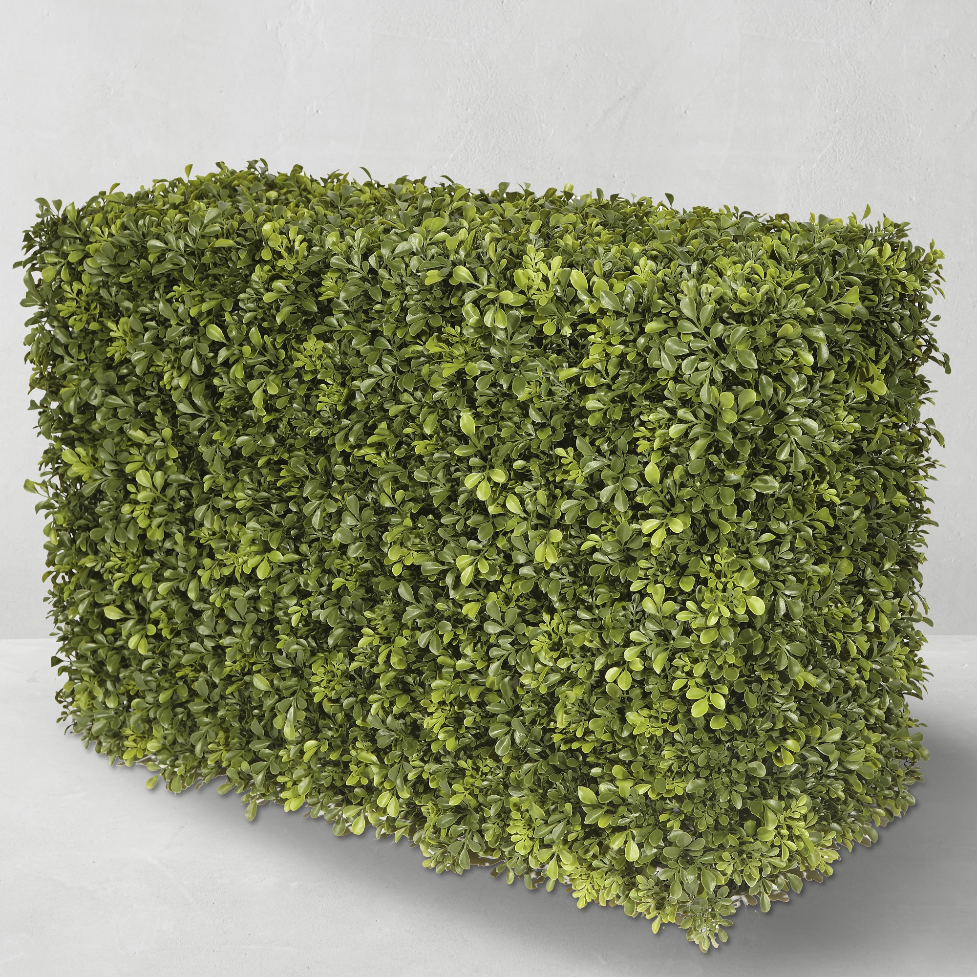 Faux Boxwood Hedge, Indoor/Sheltered Outdoor, 21