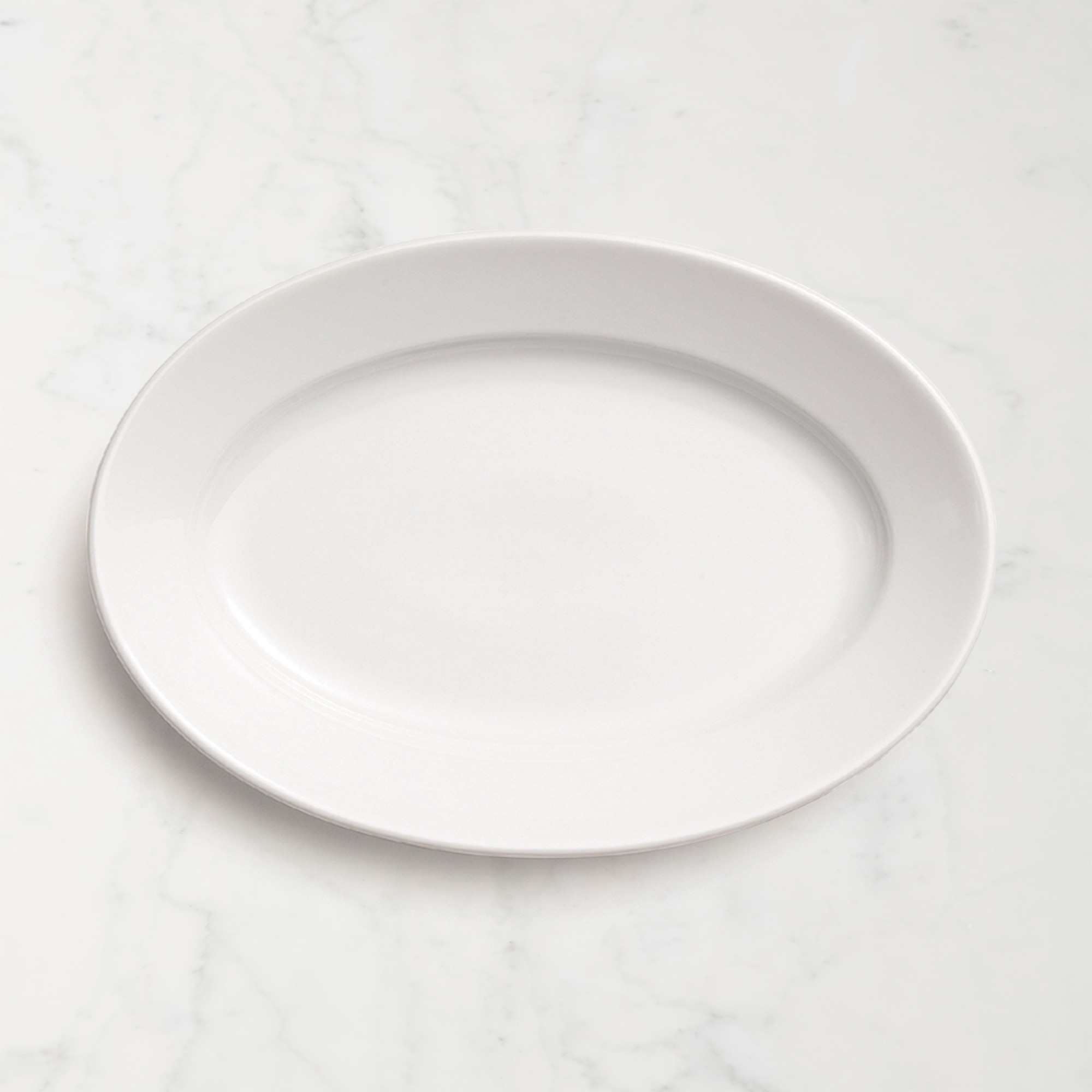 Apilco Porcelain Steak Plates, Set of 2