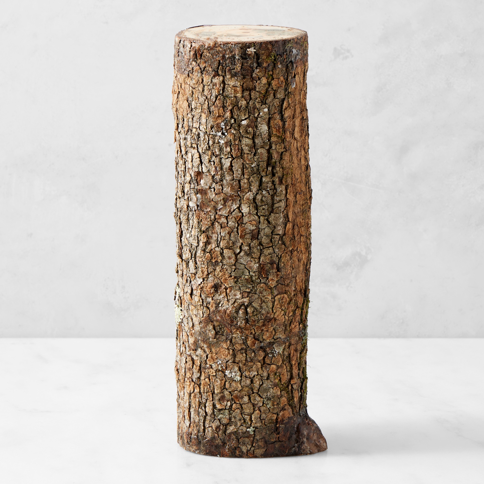 Shiitake Mushroom Log Kit