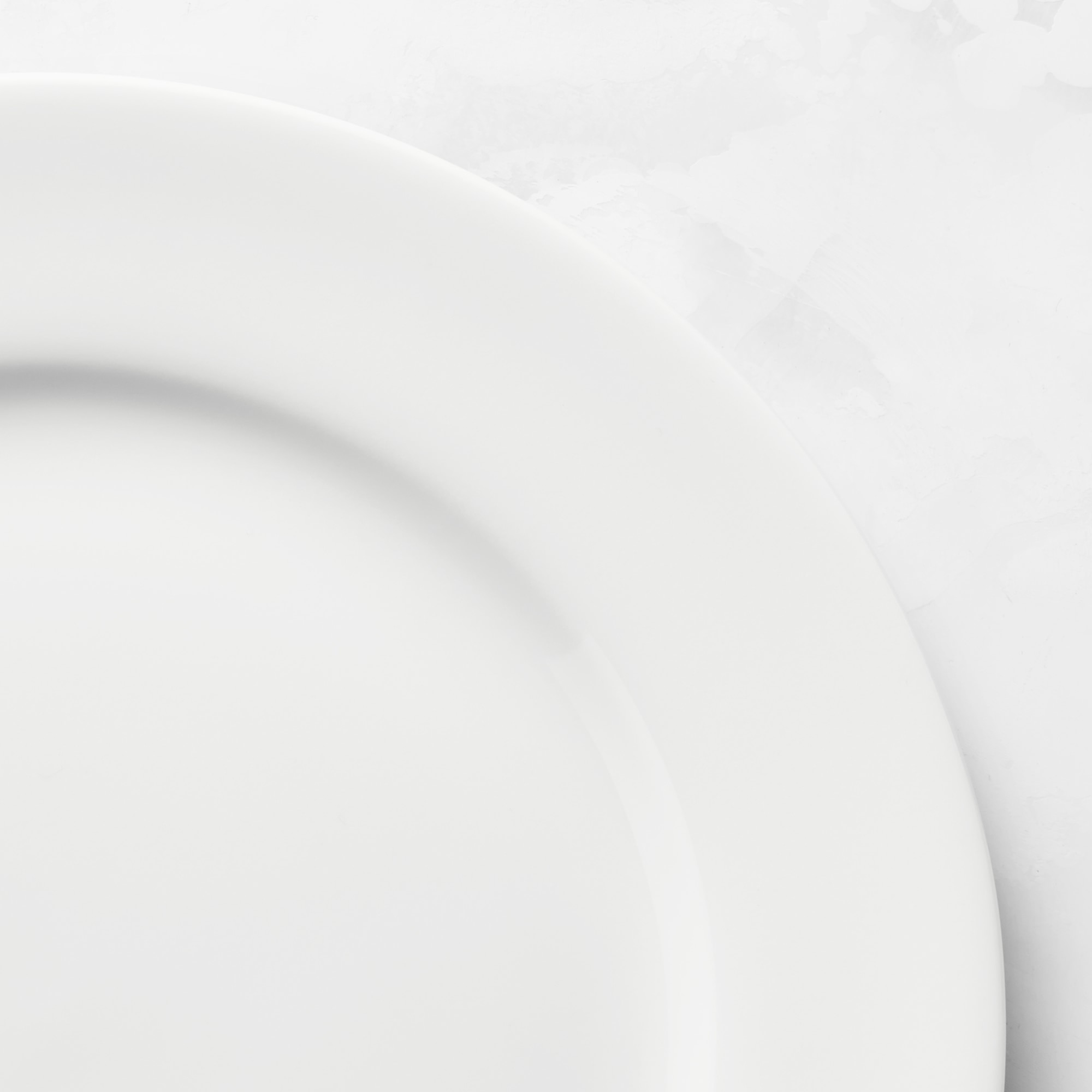 Apilco Tuileries Dinner Plates, Set of 4